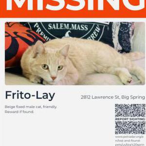 Lost 2 Frito-Lay (Texas)