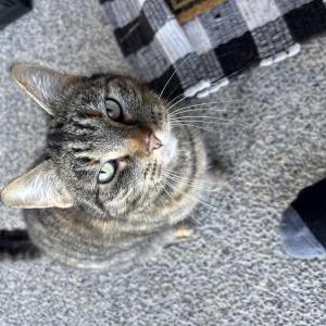 Lost 2 Elsa (Washington)