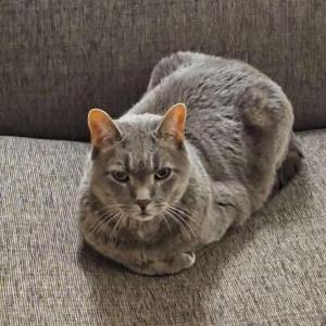 Lost 2 Trouble (New Hampshire)