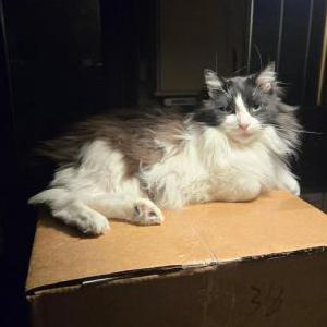 Lost 2 Eddie (MI)