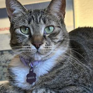 Lost 2 Maya (Washington)