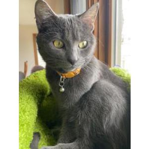 Lost 2 Charlie (Minnesota)