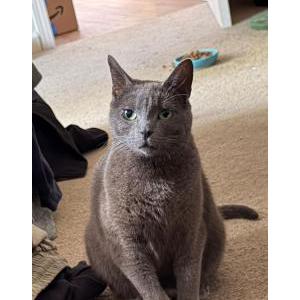Lost 2 Melly (California)