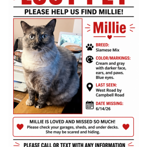Lost 2 Millie (Ohio)