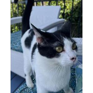 Lost 2 Lucy (California)