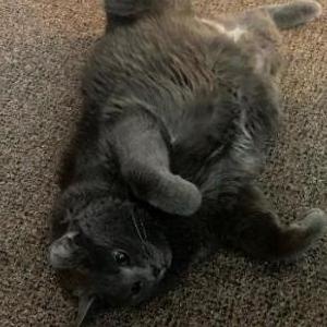 Lost 2 Teddy (Nebraska)