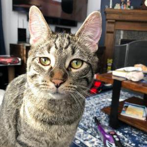 Lost 2 Little Man (Ducky) (Michigan)