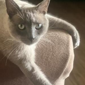 Lost 2 Genghis (Florida)