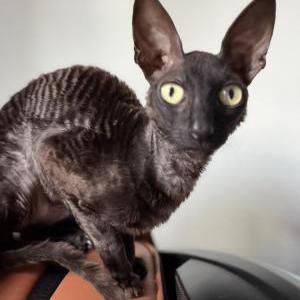 Lost 2 Percy (Florida)