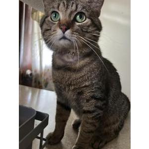 Lost 2 Hagrid (West Virginia)