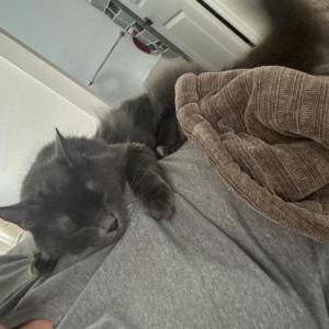 Lost 2 Bodhi/ Azul (Texas)