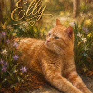 Image of Elly, Lost Cat