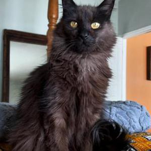 Lost 2 Ravi (Colorado)