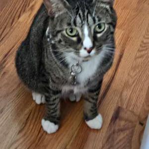 Lost 2 Bean (Colorado)
