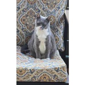 Lost 2 Dora (Illinois)
