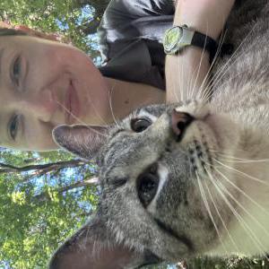 Found Cat Unknown