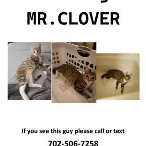Lost 2 Clover (Rhode Island)