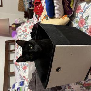 Lost 2 Endora (Pennsylvania)