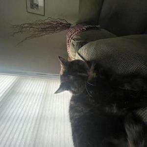 Lost 2 Missy (Ohio)