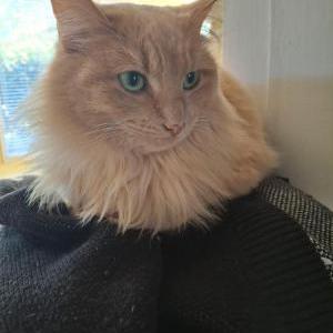 Lost 2 Poof (Louisiana)