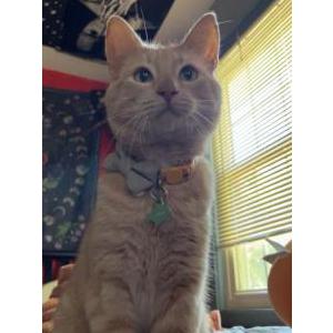 Lost 2 Darwin (Minnesota)