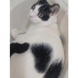 Lost 2 Loki (Wisconsin)
