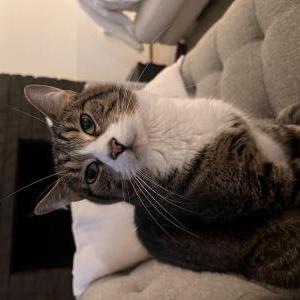 Lost 2 Winston (WA)
