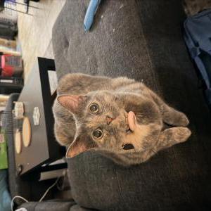 Lost 2 Helena (Florida)