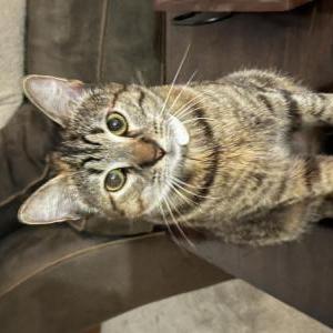 Lost 2 Luna (CA)