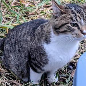 Lost 2 Tate (MN)
