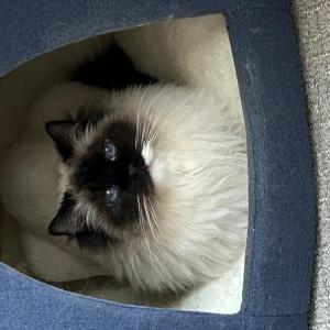 Lost 2 Zoey (Minnesota)