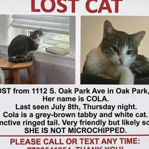 Lost 2 Cola (IL)