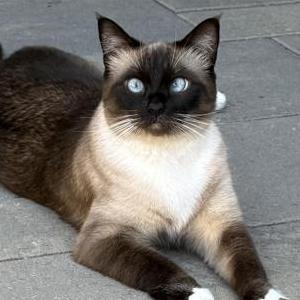 Lost 2 Ruby (California)
