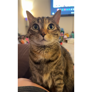 Lost 2 Luna (North Carolina)