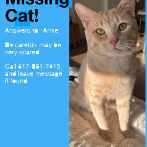 Lost 2 Arnie (Massachusetts)