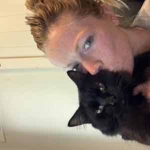 Image of Onyx, Lost Cat