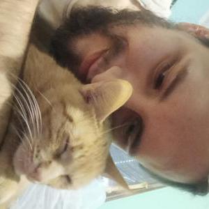 Image of Nalla, Lost Cat