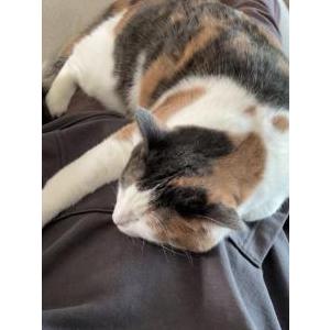Lost 2 Willow (Utah)