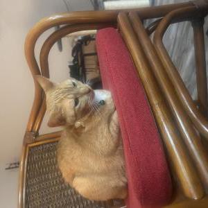 Lost 2 Bean (Florida)