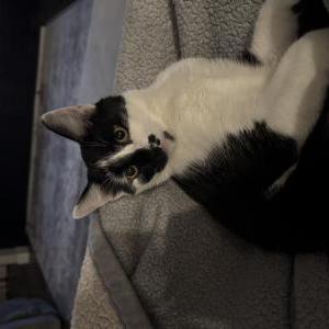 Lost 2 Pickles (Idaho)