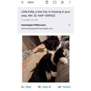 Lost 2 Little Fella (New Mexico)