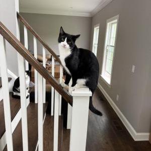 Lost 2 Charlie (New York)