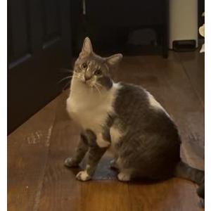Lost 2 Kimmy (Michigan)