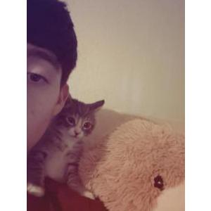 Image of Thomasin, Lost Cat