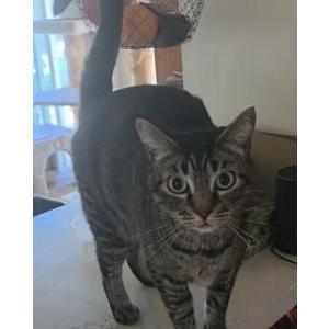 Lost 2 Luna (California)