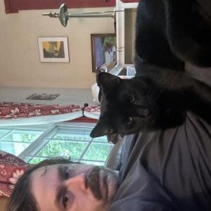 Image of Pete, Lost Cat