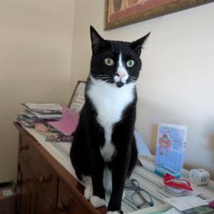 Lost 2 Mr. Carson (New Jersey)