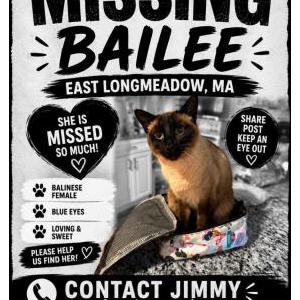 Lost 2 Bailee (MA)