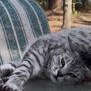 Lost 2 Marnell (FL)