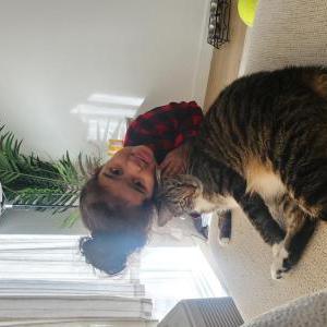 Image of Loki, Lost Cat